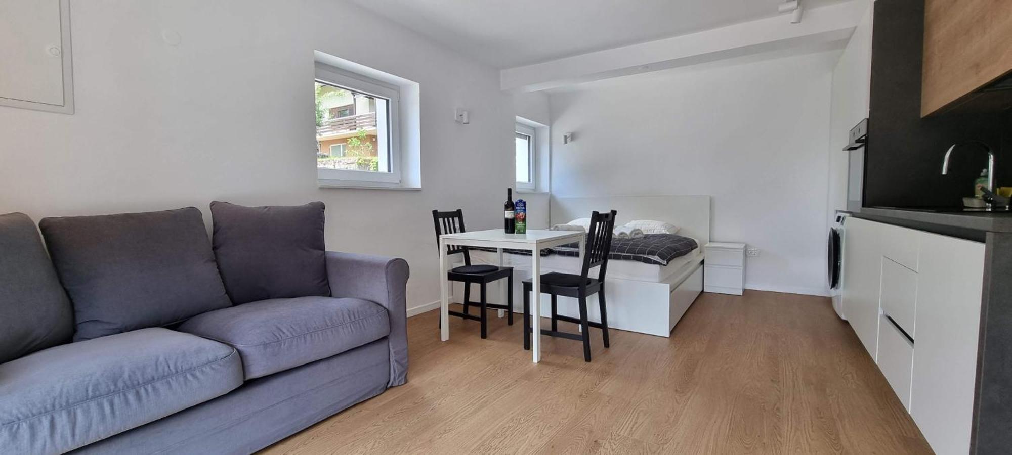 Naia Apartments Novo Mesto Exteriér fotografie
